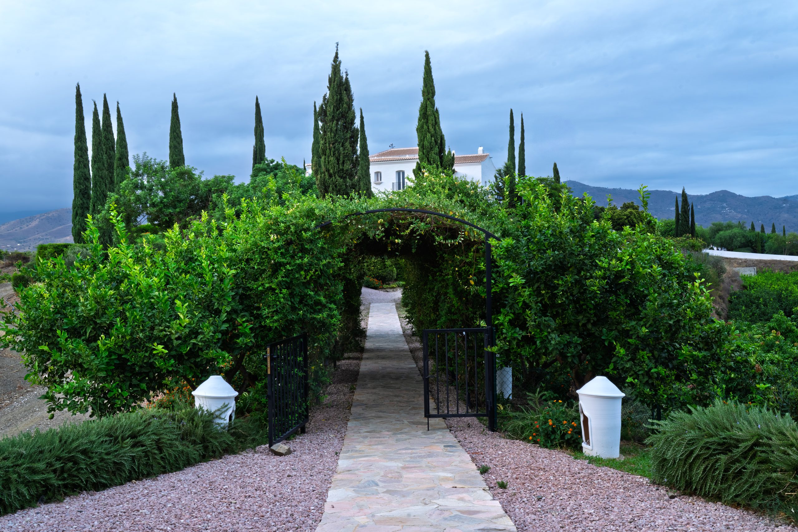 Cancela de hierro y camino de piedra bajo un arco vegetal en el lugar de la boda — Cortijo Bravo, Vélez-Málaga